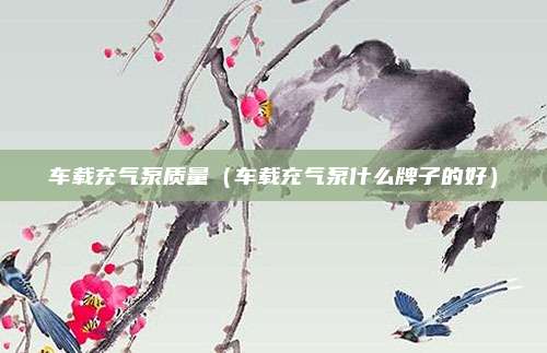 车载充气泵质量(车载充气泵什么牌子的好)