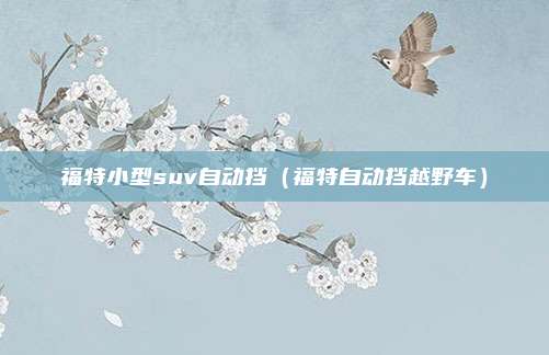 福特小型suv自动挡（福特自动挡越野车）
