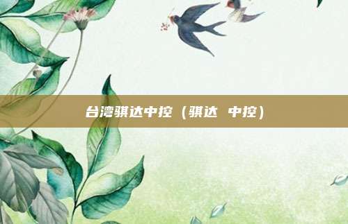 台湾骐达中控（骐达 中控）