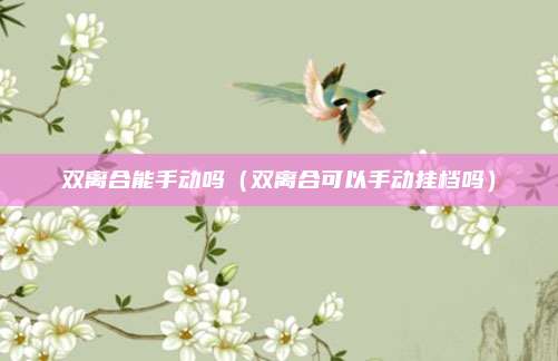 双离合能手动吗（双离合可以手动挂档吗）