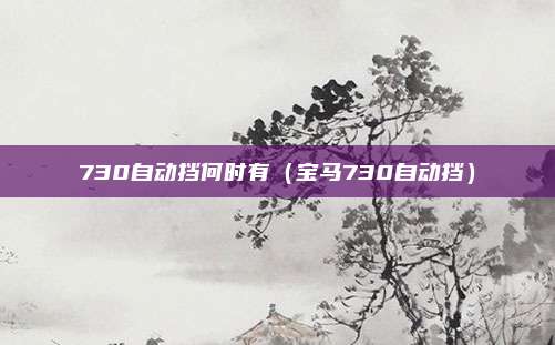 730自动挡何时有（宝马730自动挡）