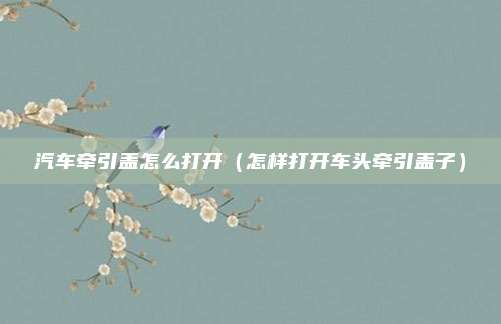 汽车牵引盖怎么打开（怎样打开车头牵引盖子）
