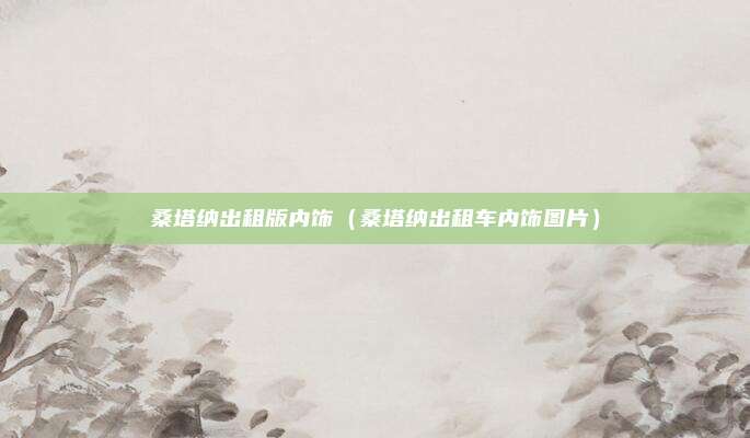 桑塔纳出租版内饰（桑塔纳出租车内饰图片）