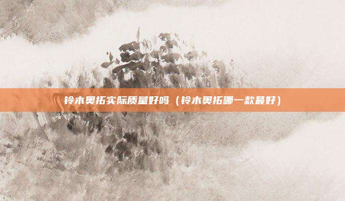 铃木奥拓实际质量好吗（铃木奥拓哪一款最好）