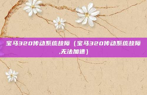 宝马320传动系统故障（宝马320传动系统故障,无法加速）