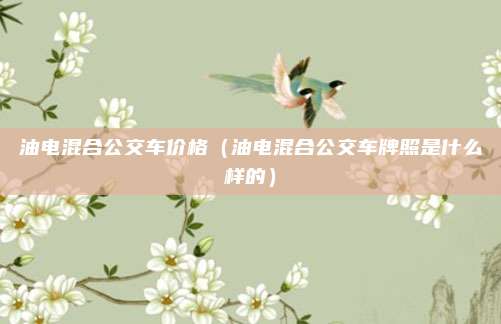 油电混合公交车价格（油电混合公交车牌照是什么样的）