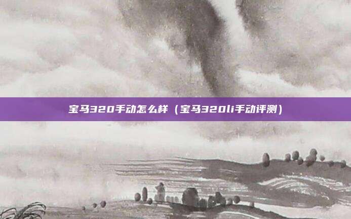 宝马320手动怎么样（宝马320li手动评测）