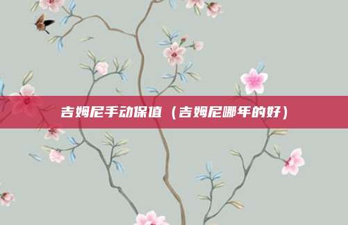 吉姆尼手动保值（吉姆尼哪年的好）