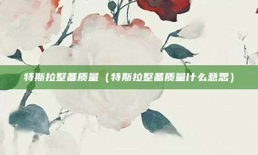 特斯拉整备质量（特斯拉整备质量什么意思）