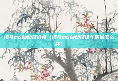 海马m6自动挡价格（海马m6自动挡这车质量怎么样）