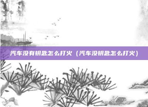 汽车没有钥匙怎么打火(汽车没钥匙怎么打火)
