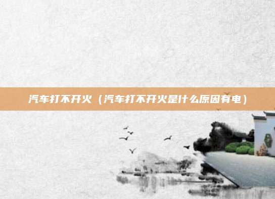 汽车打不开火(汽车打不开火是什么原因有电)