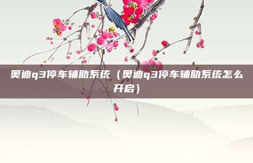 奥迪q3停车辅助系统（奥迪q3停车辅助系统怎么开启）