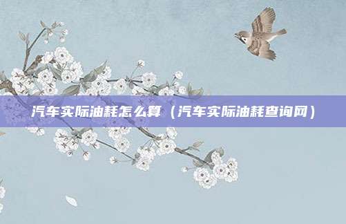 汽车实际油耗怎么算（汽车实际油耗查询网）