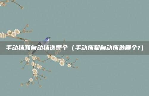 手动挡和自动挡选哪个(手动挡和自动挡选哪个?)