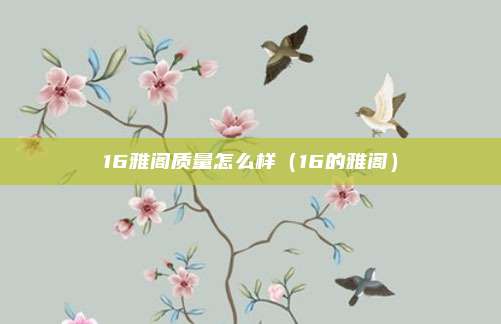 16雅阁质量怎么样（16的雅阁）