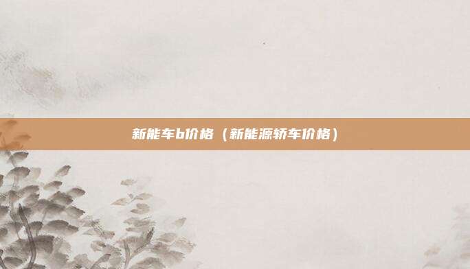 新能车b价格（新能源轿车价格）