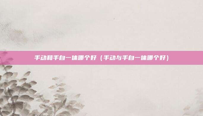 手动和手自一体哪个好(手动与手自一体哪个好)