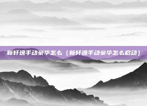 新轩逸手动豪华怎么（新轩逸手动豪华怎么启动）