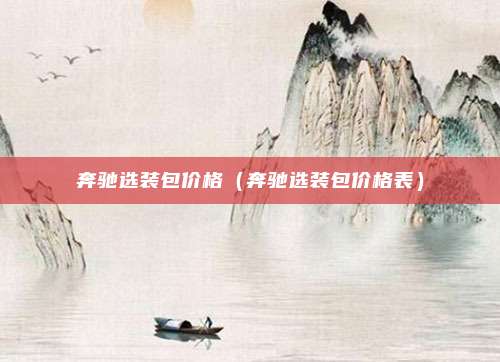 奔驰选装包价格（奔驰选装包价格表）