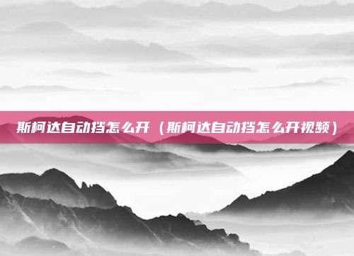 斯柯达自动挡怎么开（斯柯达自动挡怎么开视频）