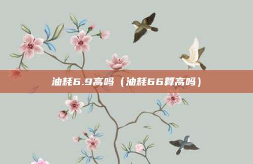 油耗6.9高吗（油耗66算高吗）