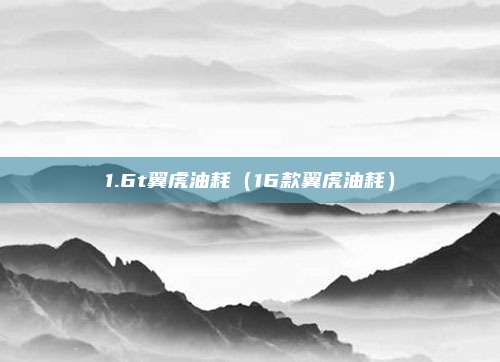 1.6t翼虎油耗（16款翼虎油耗）