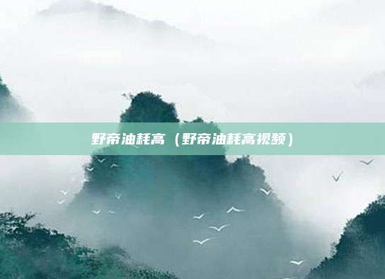 野帝油耗高（野帝油耗高视频）