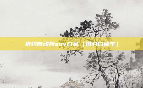 猎豹自动挡suv白色（猎豹白色车）