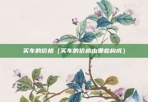 买车的价格（买车的价格由哪些构成）
