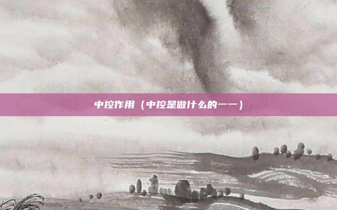 中控作用（中控是做什么的一一）
