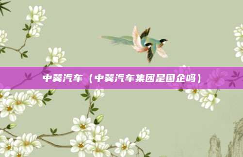中冀汽车（中冀汽车集团是国企吗）
