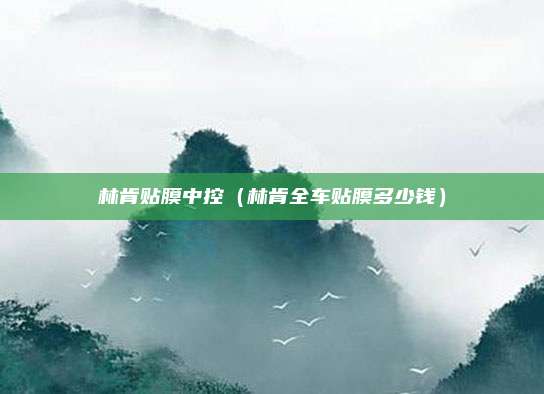 林肯贴膜中控（林肯全车贴膜多少钱）