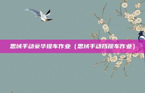 思域手动豪华提车作业（思域手动挡提车作业）