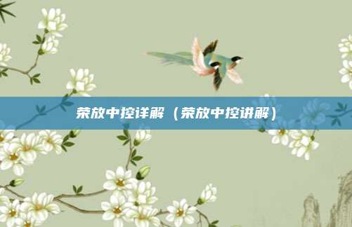 荣放中控详解（荣放中控讲解）