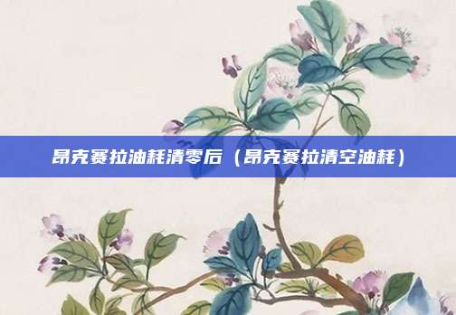 昂克赛拉油耗清零后（昂克赛拉清空油耗）