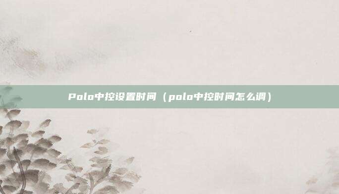 Polo中控设置时间(polo中控时间怎么调)