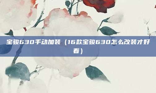 宝骏630手动加装(16款宝骏630怎么改装才好看)