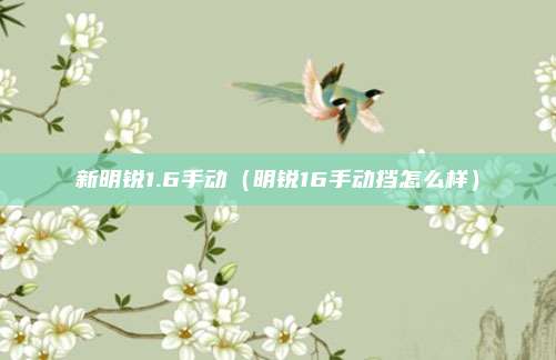 新明锐1.6手动（明锐16手动挡怎么样）