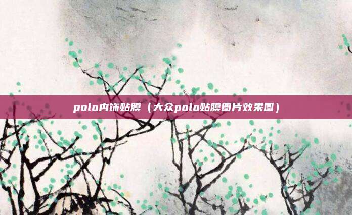 polo内饰贴膜（大众polo贴膜图片效果图）
