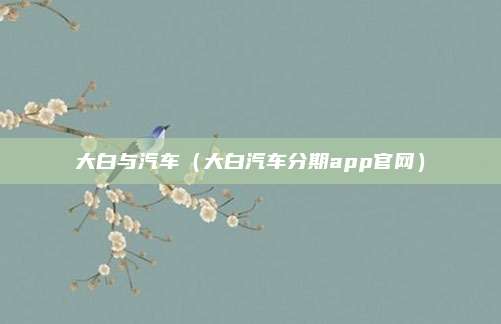 大白与汽车（大白汽车分期app官网）