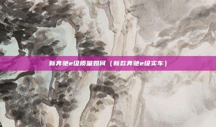 新奔驰e级质量如何（新款奔驰e级实车）