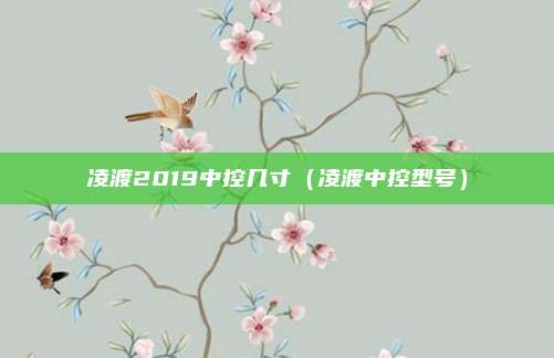 凌渡2019中控几寸（凌渡中控型号）