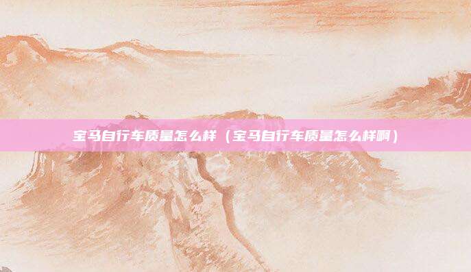 宝马自行车质量怎么样（宝马自行车质量怎么样啊）