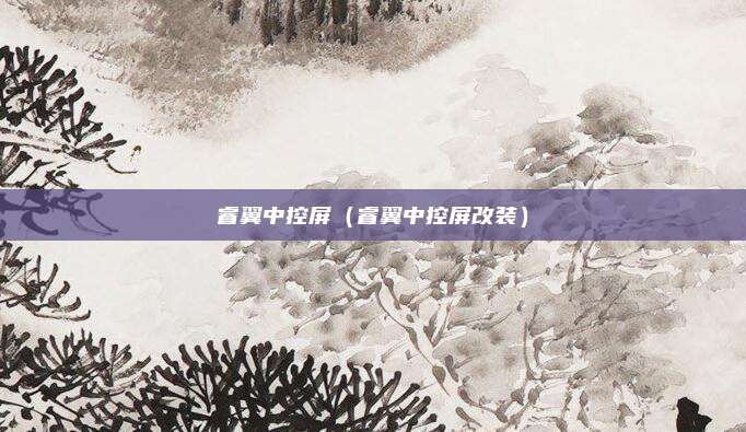 睿翼中控屏（睿翼中控屏改装）