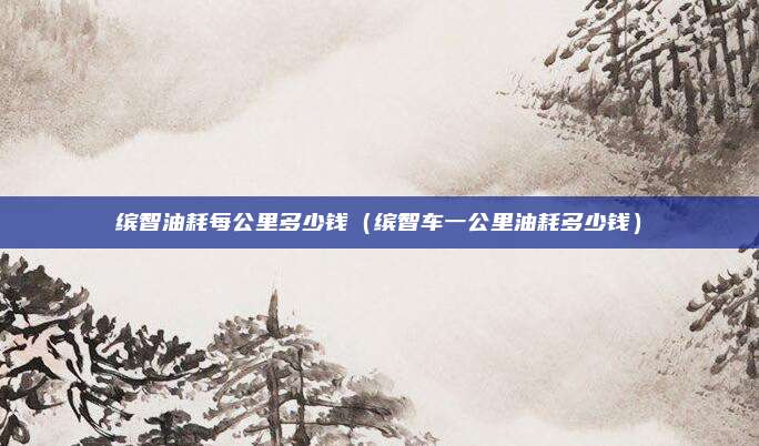 缤智油耗每公里多少钱（缤智车一公里油耗多少钱）