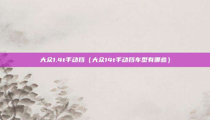 大众1.4t手动挡(大众14t手动挡车型有哪些)