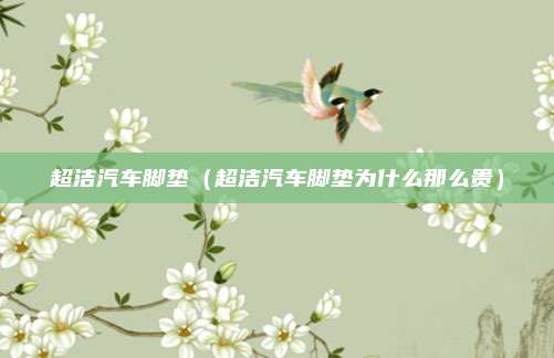 超洁汽车脚垫(超洁汽车脚垫为什么那么贵)