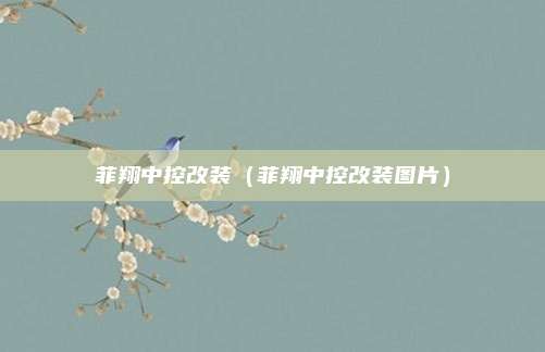 菲翔中控改装（菲翔中控改装图片）