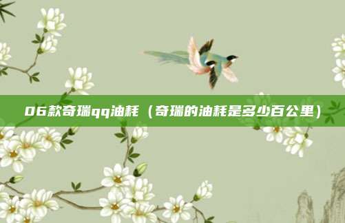06款奇瑞qq油耗（奇瑞的油耗是多少百公里）